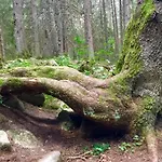 Cozy Niya , до боровец , двор и барбекю Beli Iskar