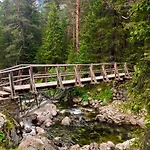 Cozy Niya , до боровец , двор и барбекю Pensiune 3*