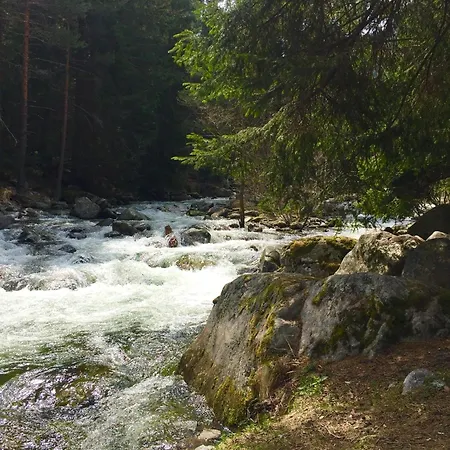 Cozy Niya , до боровец , двор и барбекю 3* Beli Iskar