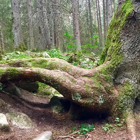 Cozy Niya , до боровец , двор и барбекю Beli Iskar