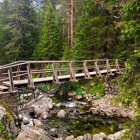 Cozy Niya , до боровец , двор и барбекю Gasthof 3*