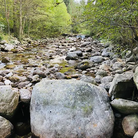Gasthof Cozy Niya , до боровец , двор и барбекю Beli Iskar