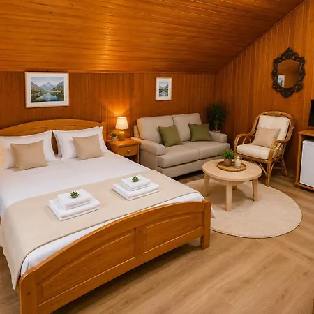 Cozy Niya , до боровец , двор и барбекю Gasthof