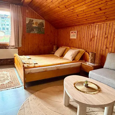 Gasthof Cozy Niya , до боровец , двор и барбекю