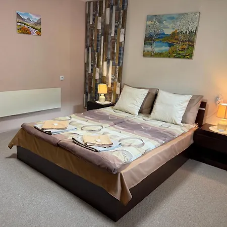 Cozy Niya , до боровец , двор и барбекю Penzion 3*
