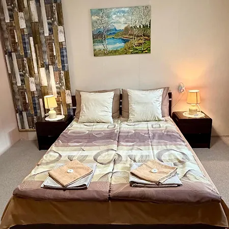 Cozy Niya , до боровец , двор и барбекю