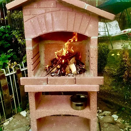 Cozy Niya , до боровец , двор и барбекю Gasthof