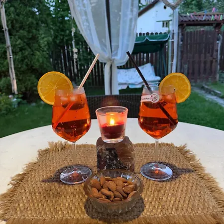 Gasthof Cozy Niya , до боровец , двор и барбекю 3*